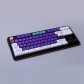 EVA-01 104+30 XDA-like Profile Keycap Set Cherry MX PBT Dye-subbed for Mechanical Gaming Keyboard